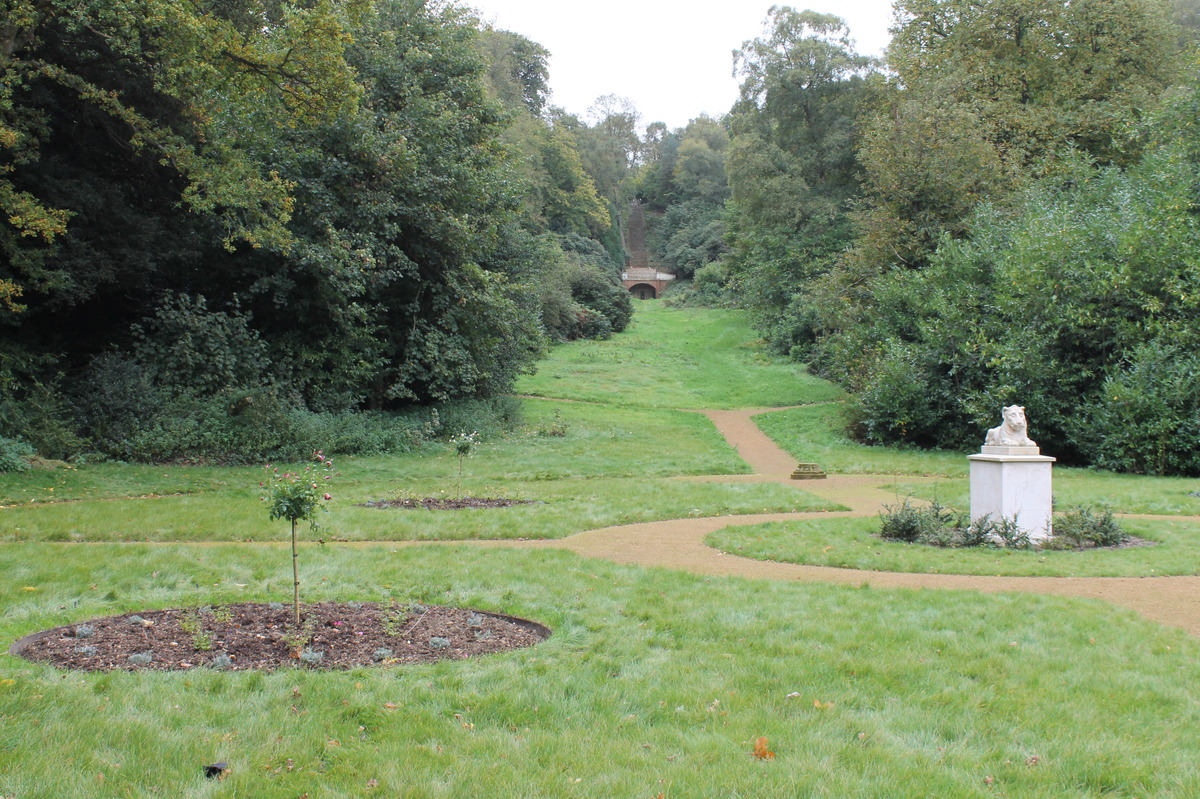 Garden with new roses